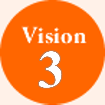 Vision 3