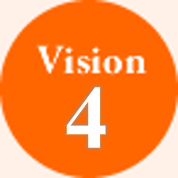 Vision 4