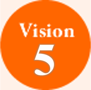 Vision 5