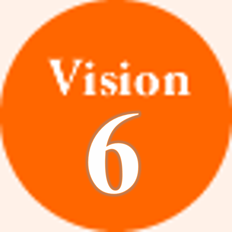 Vision　6